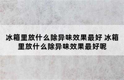 冰箱里放什么除异味效果最好 冰箱里放什么除异味效果最好呢